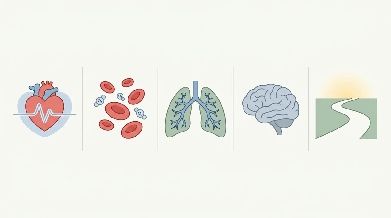 Benefits of Quitting Smoking: Daily Motivation You Can Track