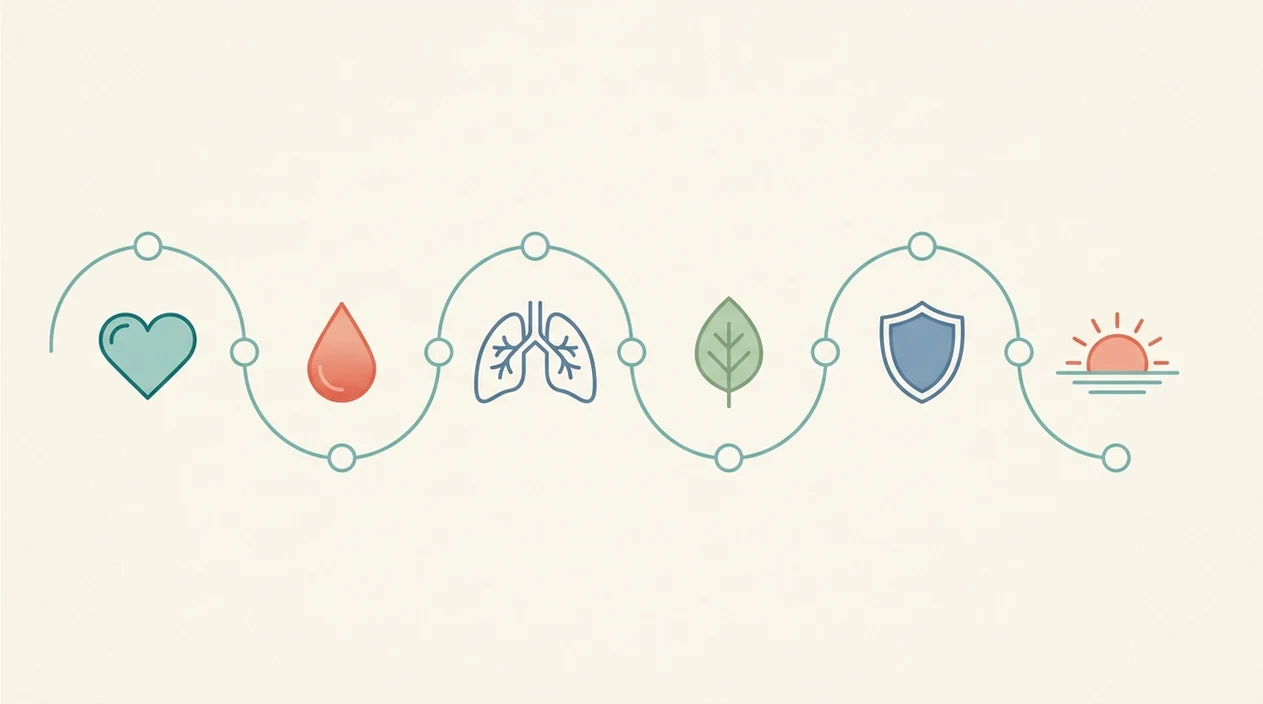 See Health Milestones After Quitting Smoking: Timeline, Apps & What to Expect